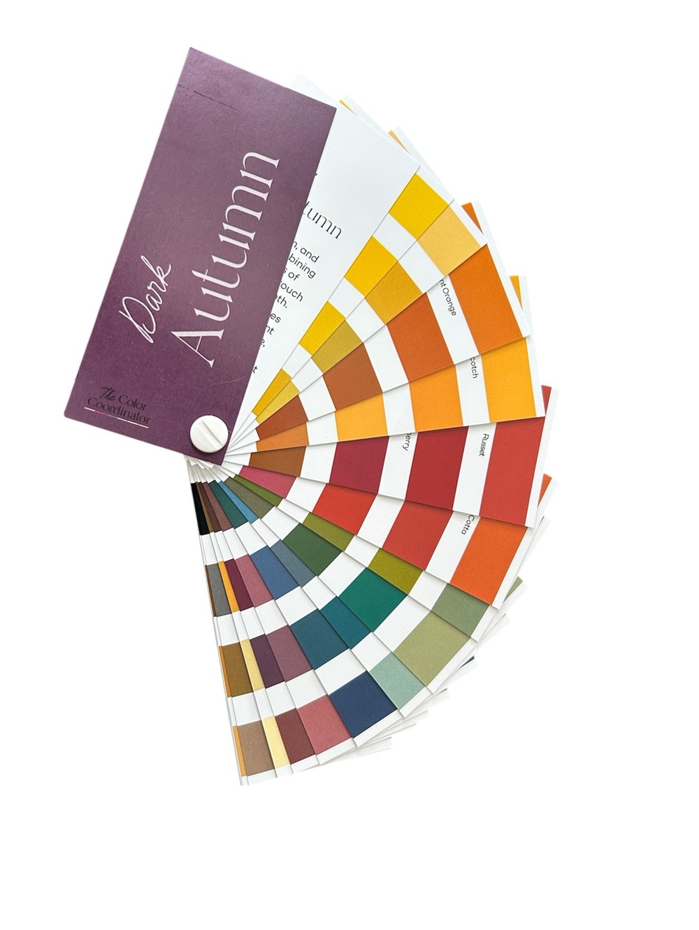 New Dark Autumn Color Swatches Fan